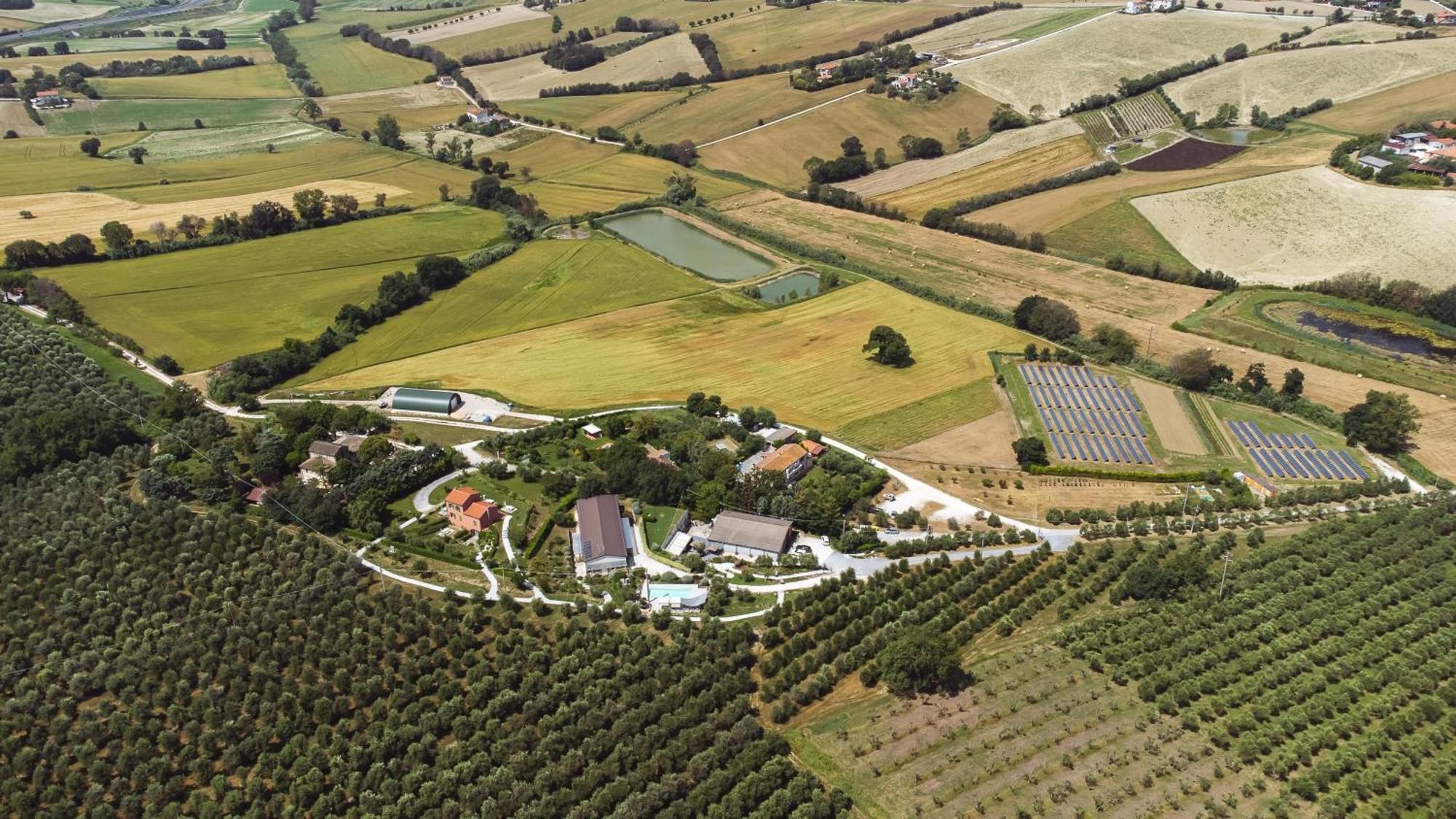 Villa A3Passi Ancona Exterior foto